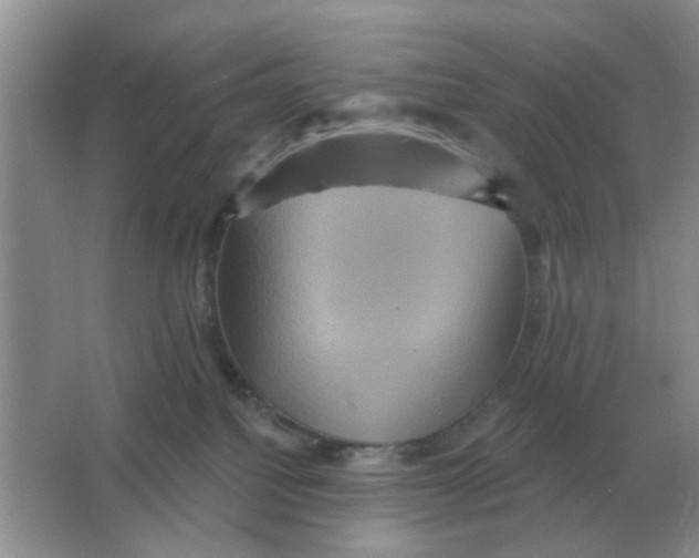 X0000066010088200603242109