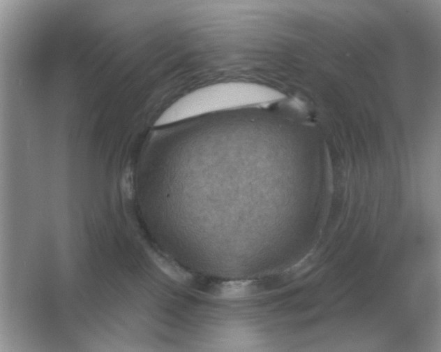 X0000066010090200603242109