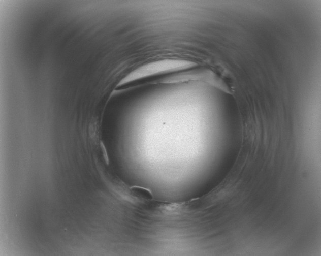 X0000066010092200603242109