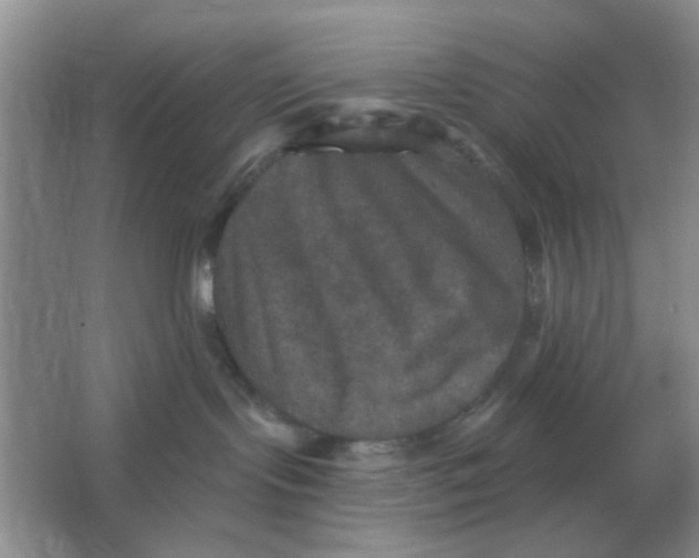 X0000066010095200603242109