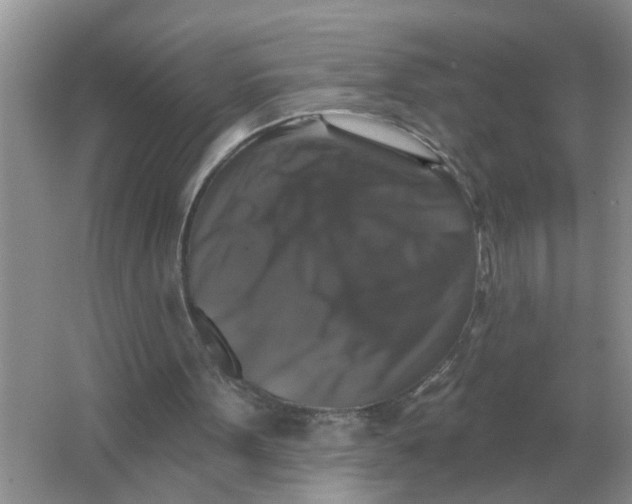X0000066010099200603242108