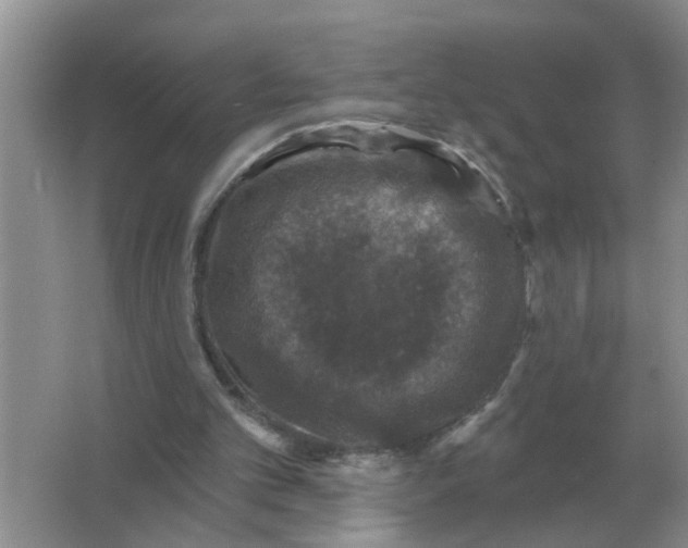 X0000066010101200603242108