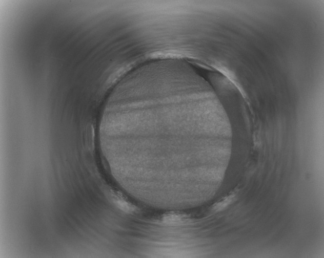 X0000066010109200603242108