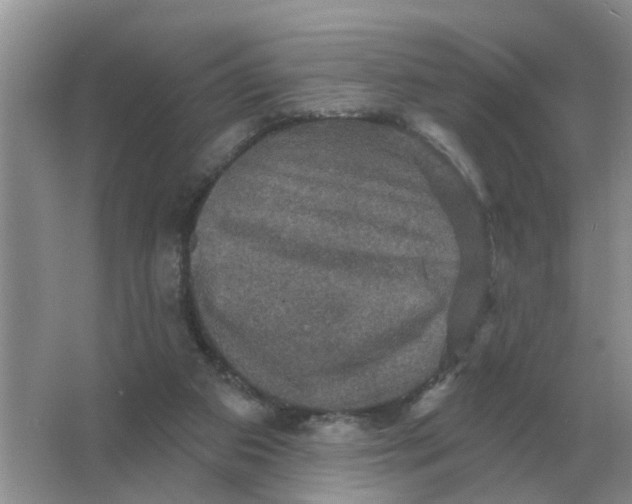 X0000066010113200603242108