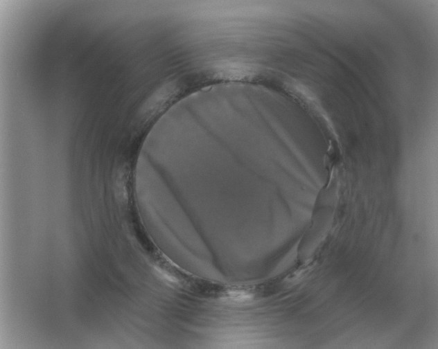 X0000066010114200603242108