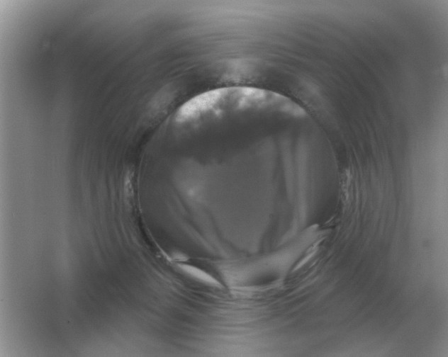 X0000066010127200603242107