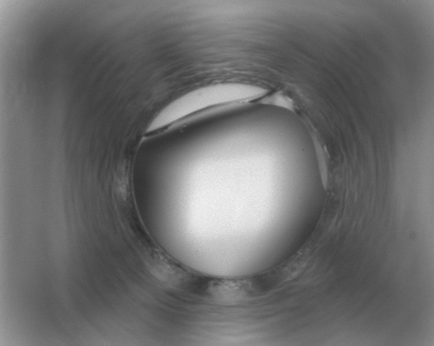 X0000066010129200603242107