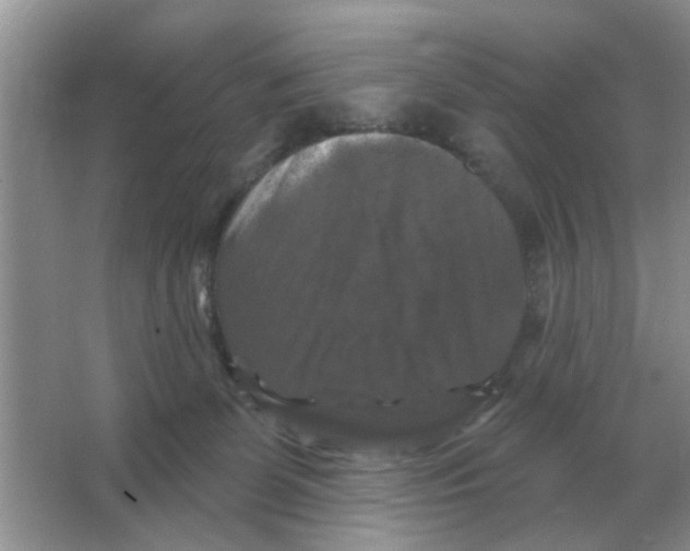 X0000066010131200603242107