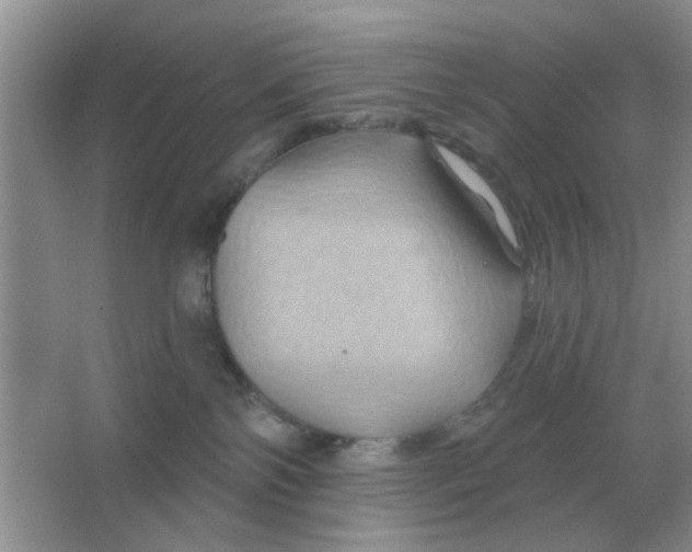 X0000066010138200603242107