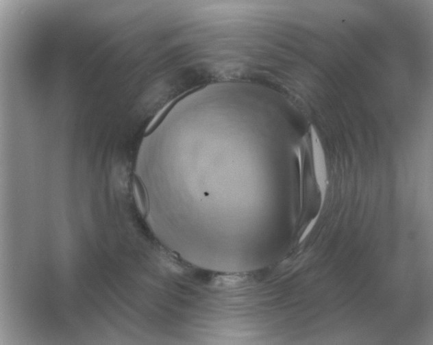 X0000066010139200603242107