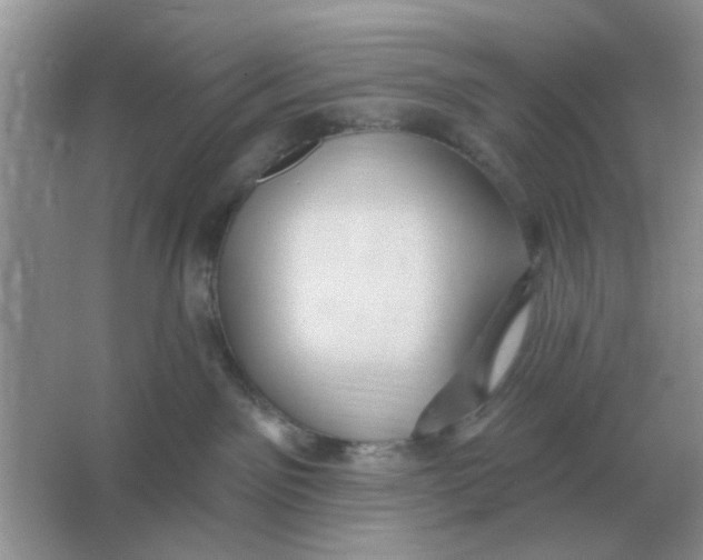 X0000066010141200603242107
