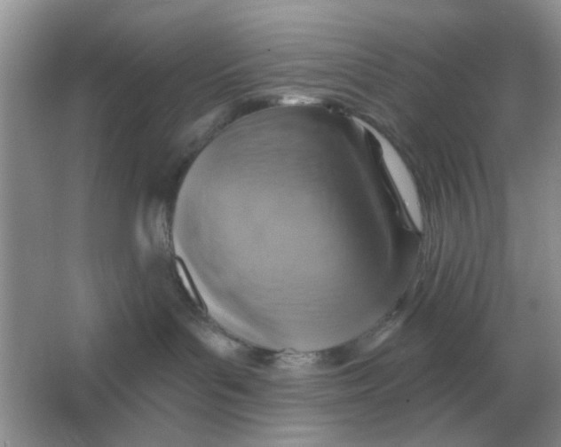 X0000066010143200603242107
