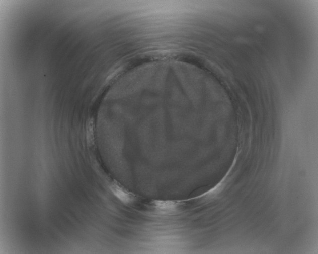 X0000066010144200603242107