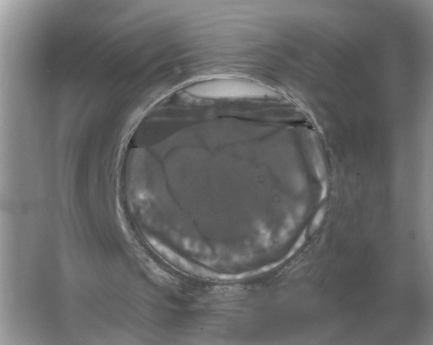X0000066010145200603242106