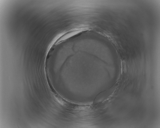X0000066010147200603242106