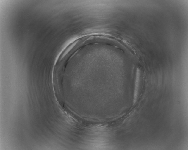 X0000066010148200603242106