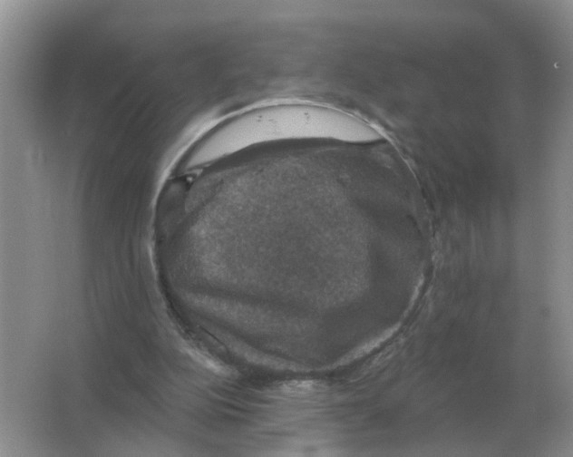 X0000066010152200603242106