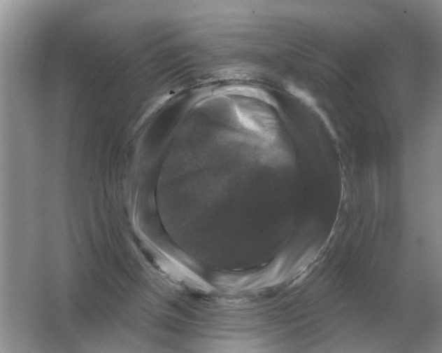X0000066010154200603242106