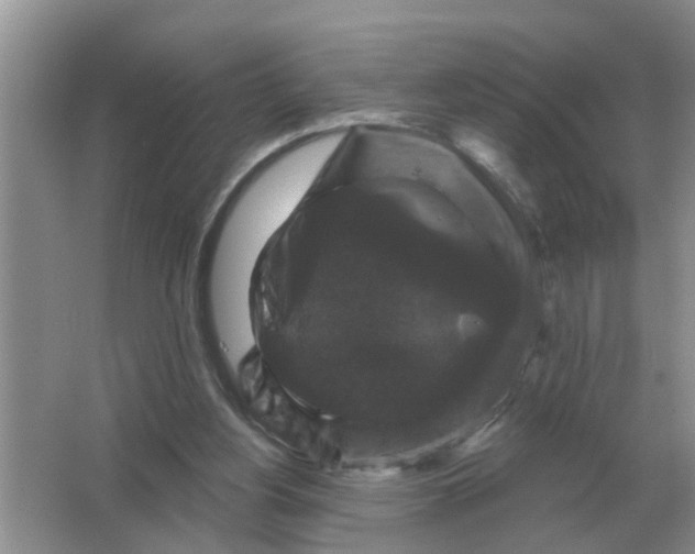 X0000066010156200603242106