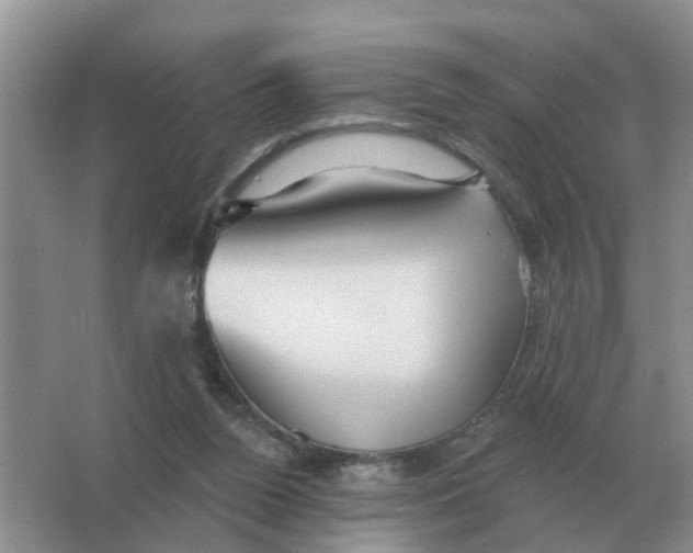 X0000066010160200603242107