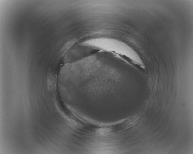 X0000066010168200603242107