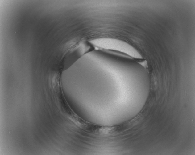 X0000066010172200603242107