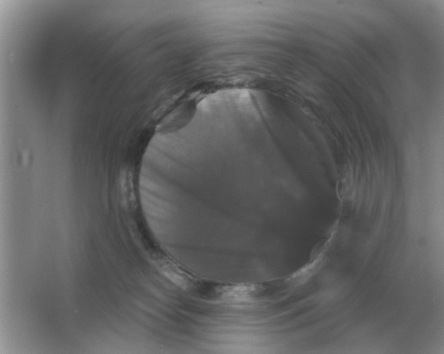 X0000066010182200603242107