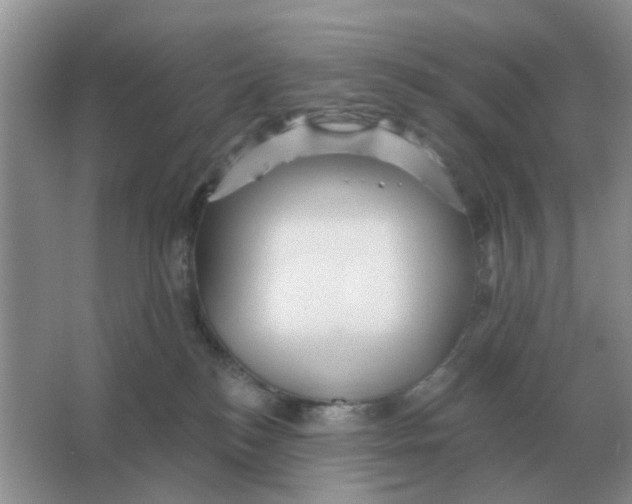 X0000066010184200603242107