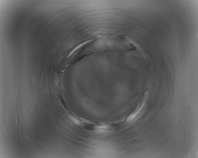 X0000066010192200603242107