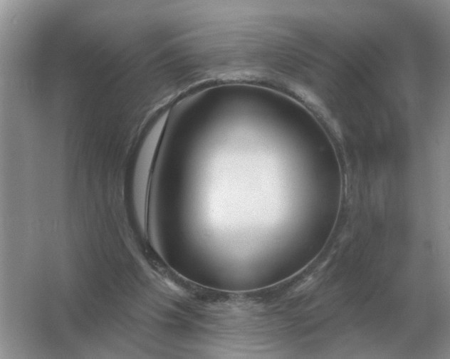 X0000066010201200603242106