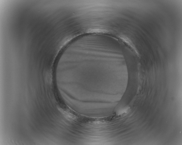 X0000066010204200603242106