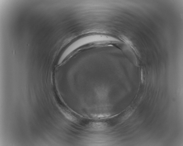 X0000066010205200603242106