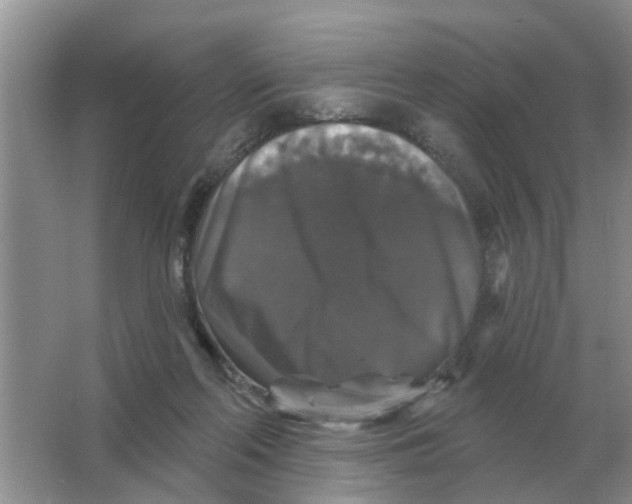 X0000066010214200603242106