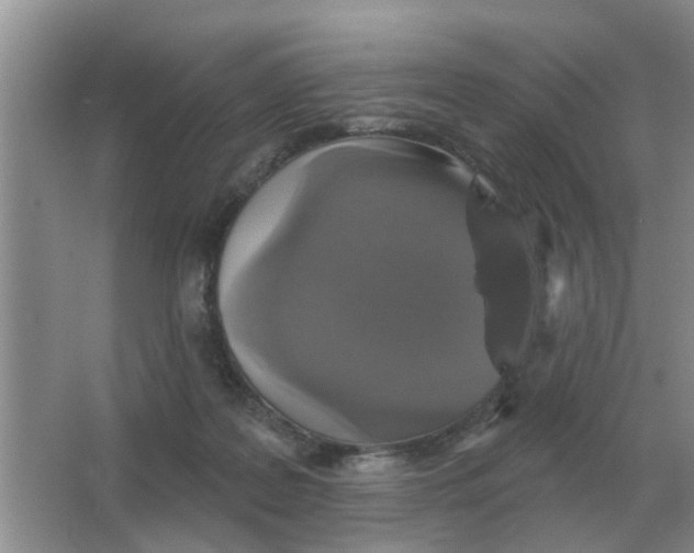 X0000066010219200603242106