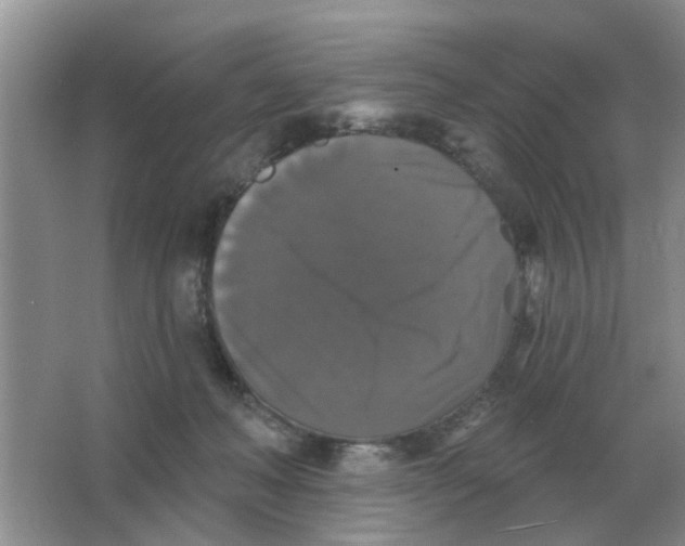 X0000066010222200603242106