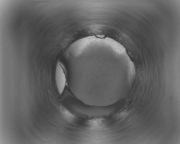 X0000066010223200603242106