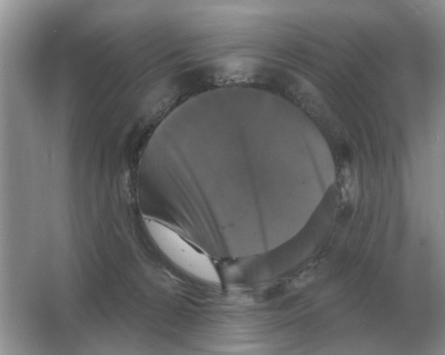 X0000066010224200603242106