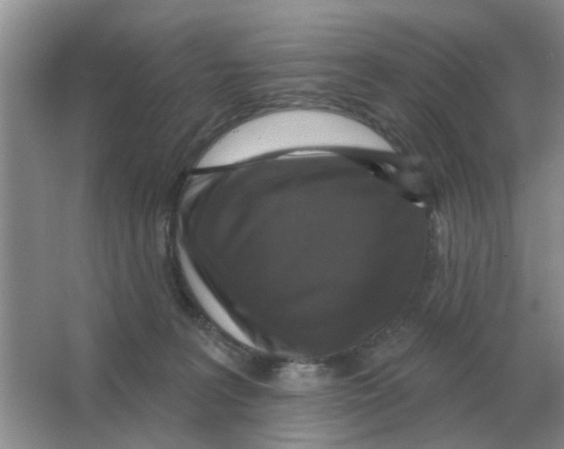 X0000066010227200603242106