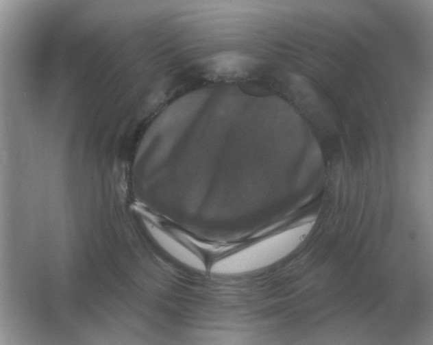 X0000066010232200603242106
