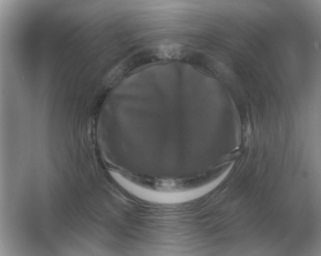 X0000066010233200603242106
