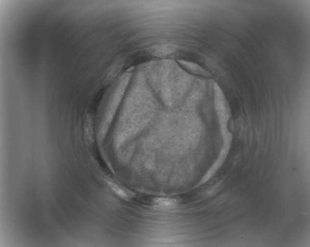 X0000066010234200603242106