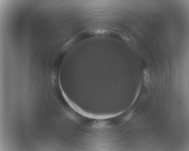 X0000066010235200603242106