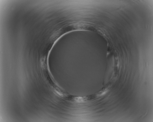 X0000066010239200603242105