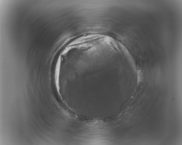 X0000066010243200603242105