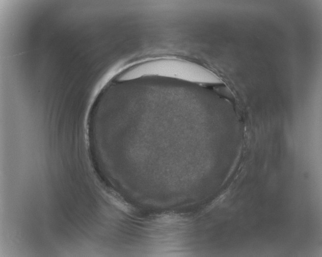 X0000066010246200603242105