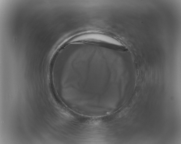 X0000066010247200603242105