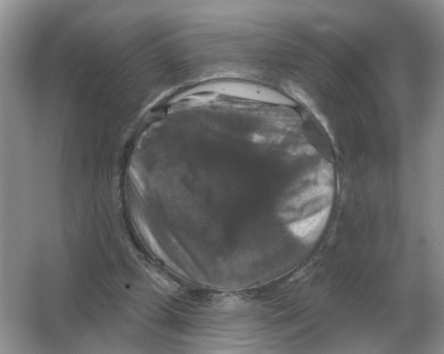 X0000066010249200603242105