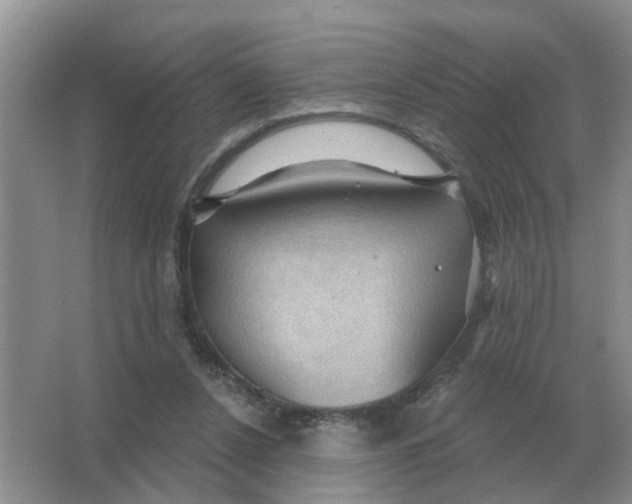 X0000066010256200603242105