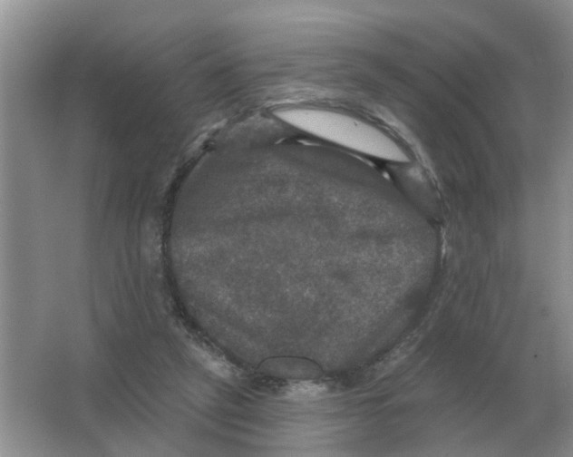 X0000066010257200603242105