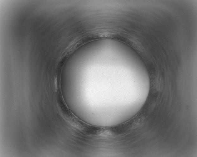 X0000066010262200603242105